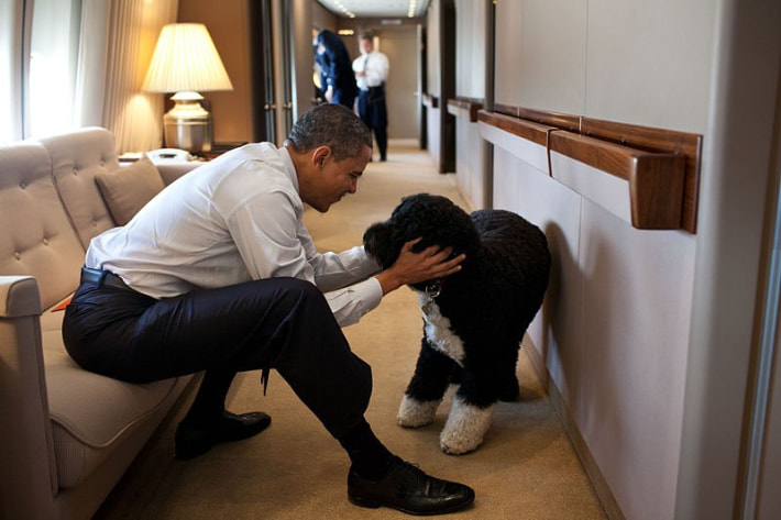 Obama with Bo