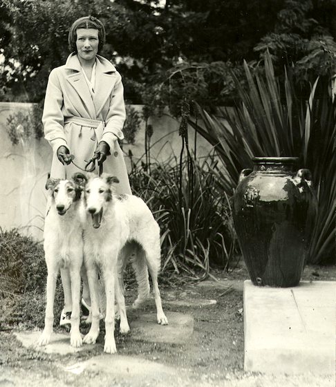 old photo of borzoi