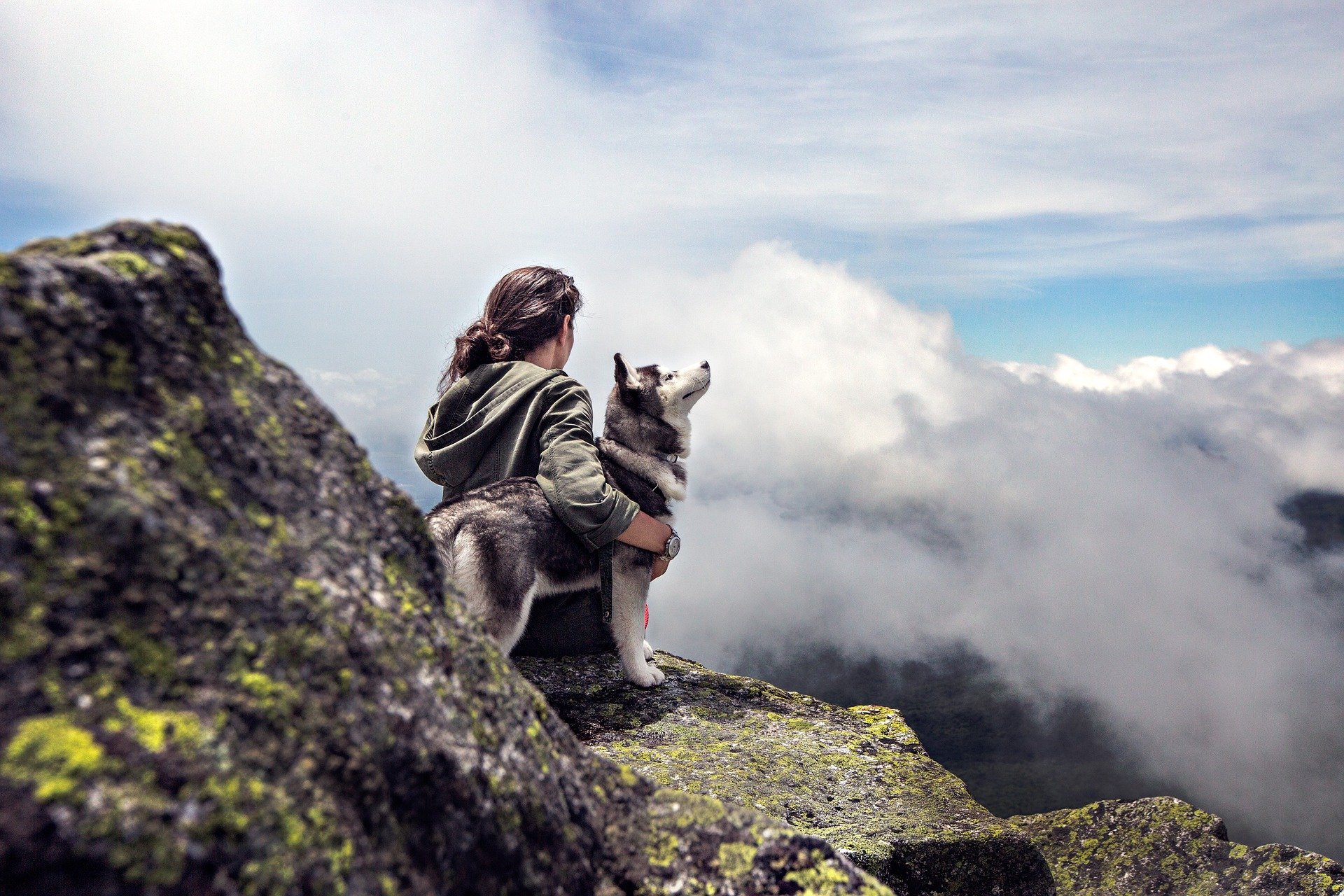 Dog with Woman