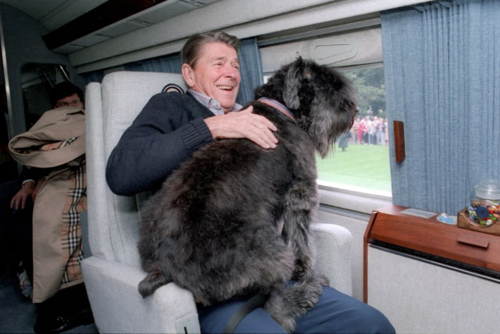 Reagan and Lucky